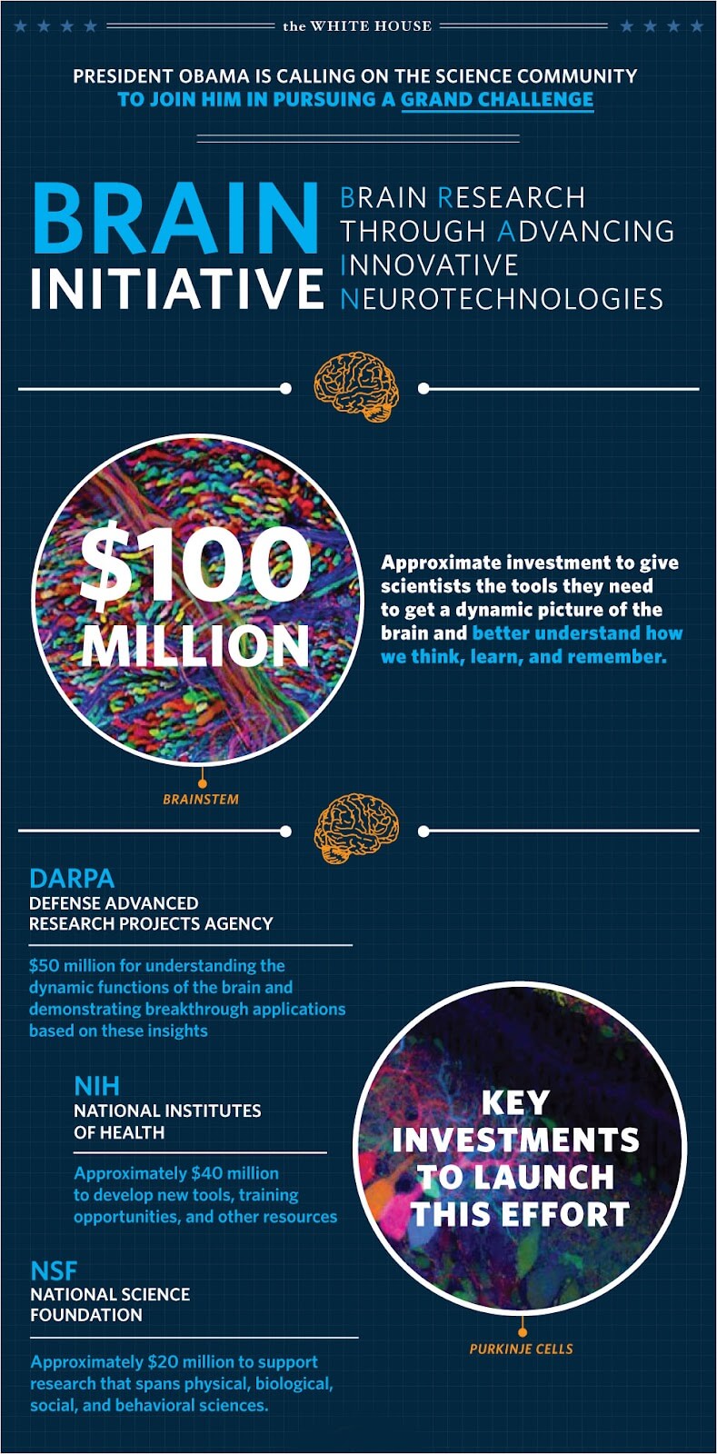 nonprofit infographic 2.jpg