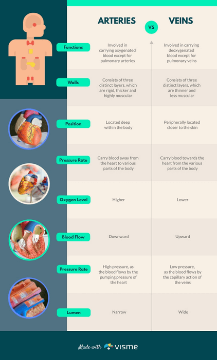 comparison infographic 4.png