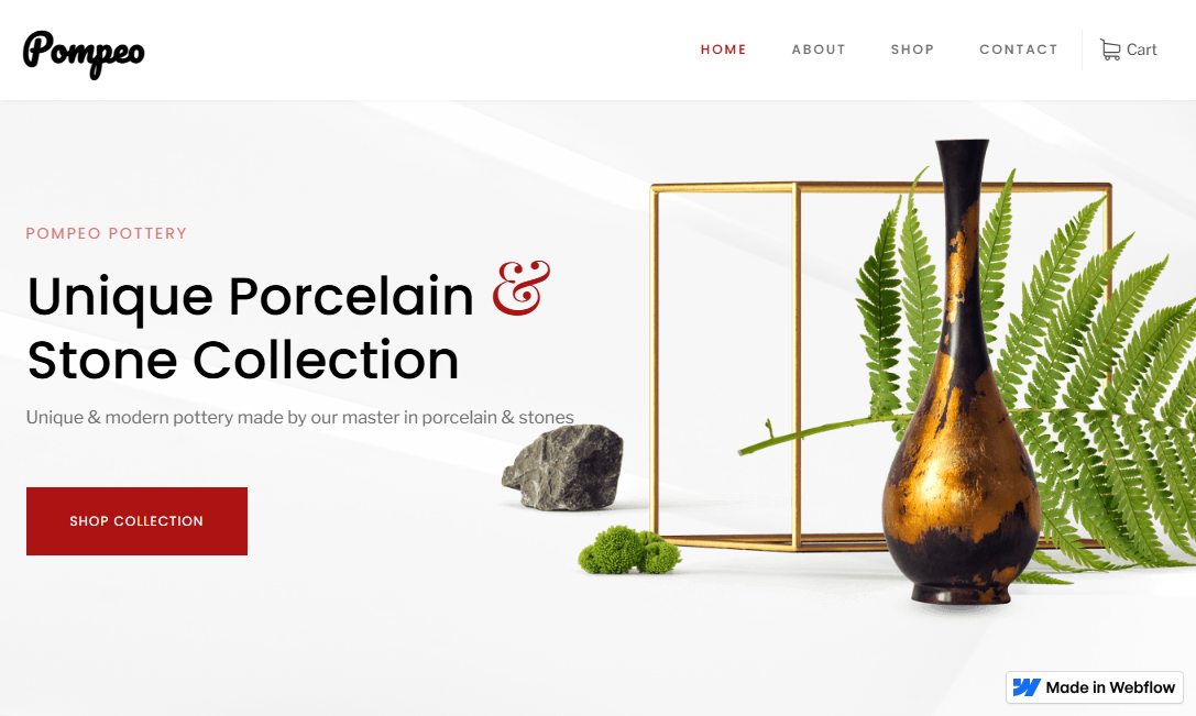 Retail and Ecommerce Website